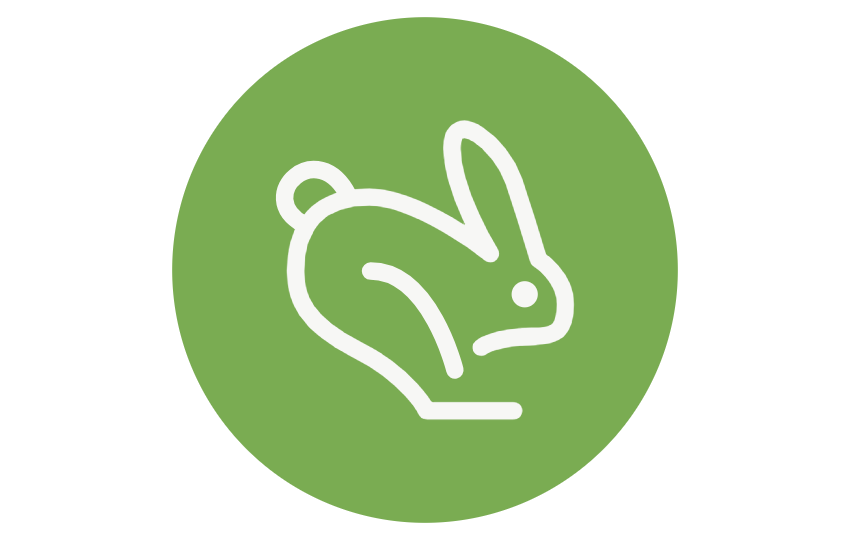 Fast delivery icon